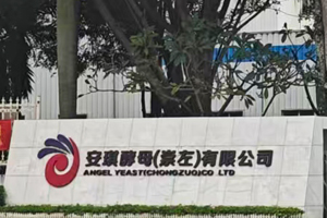 安琪酵母(崇左)有限公司實驗室純水機